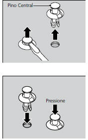 Presilha (Tipo C)