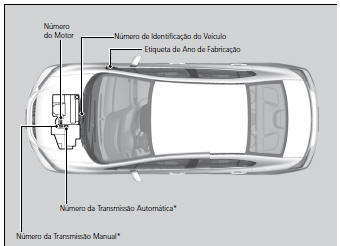 Número do Motor e Número da Transmissão