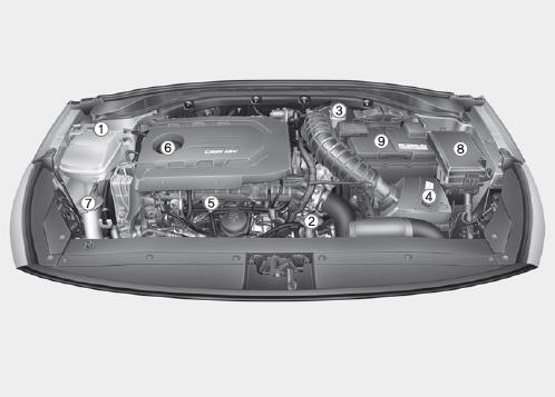 Motor diesel (U2 1,6 TCI)