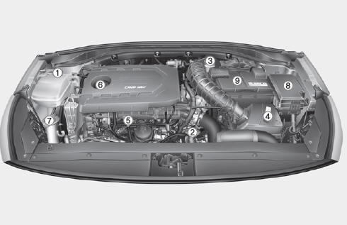 Motor diesel (U2 1,6 TCI)