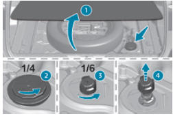 Procedimento