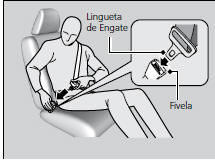 Cinto de Segurança de Três Pontos
