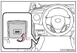 Liberte o bloqueio no interior do veículo para abrir o capot.